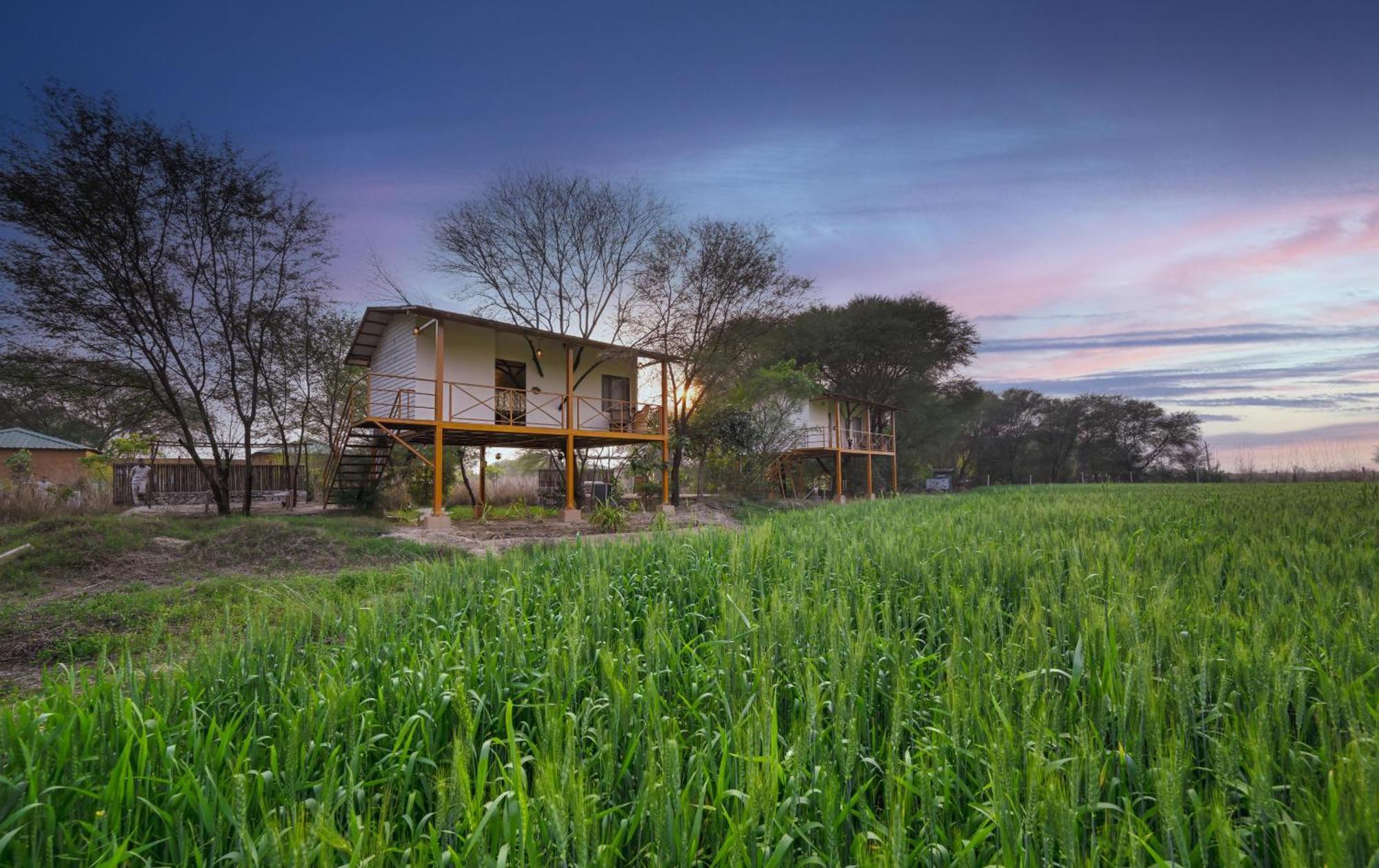 Bagh Serai - Rustic Cottage With Private Pool Sawai Madhopur Ngoại thất bức ảnh